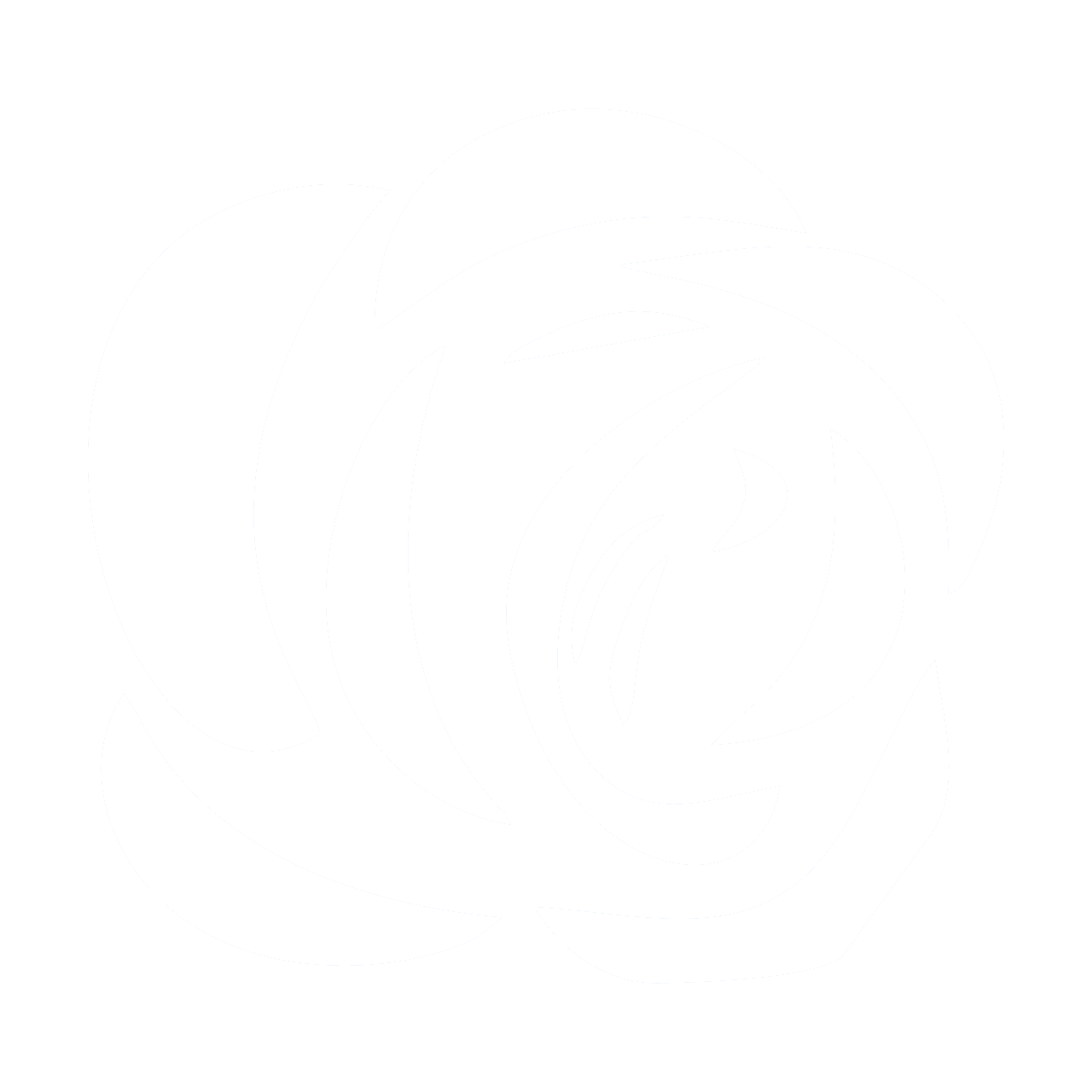 费罗莎 白色透明